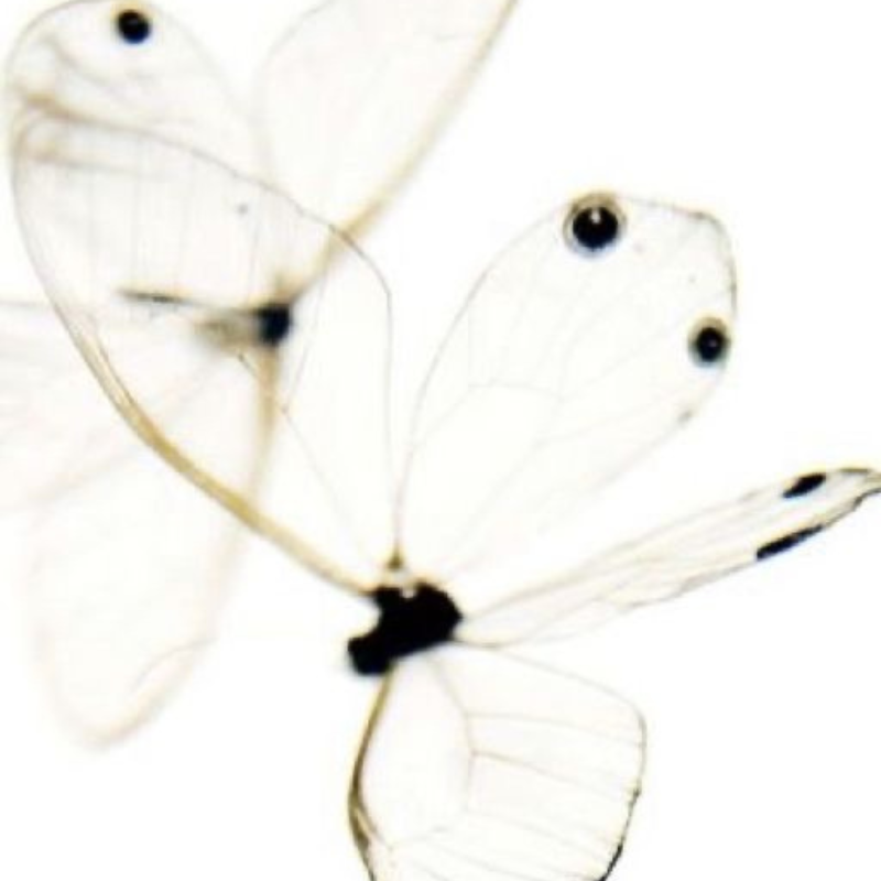 Crisis Psicoespiritual